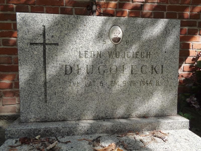 Zdjęcie grobu Leon Wojciech Długołęcki (2)