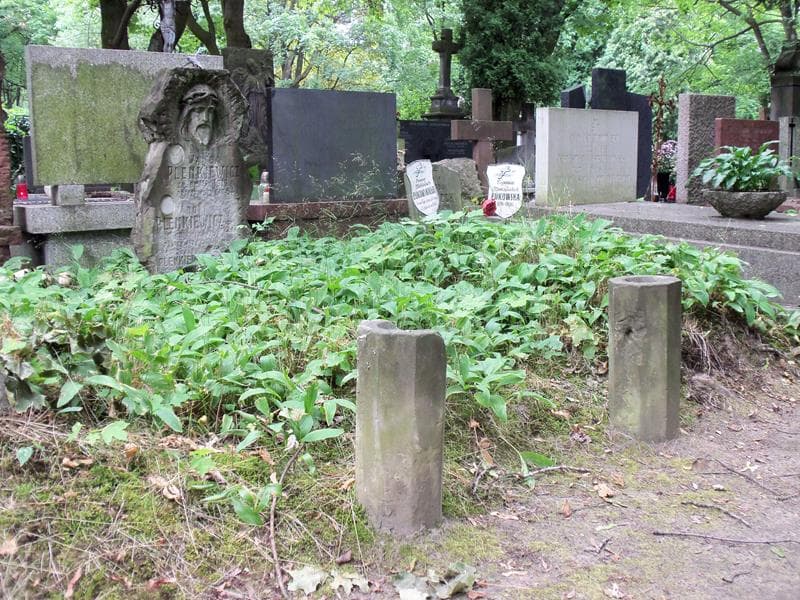 Zdjęcie grobu Adolf Plenkiewicz (1)