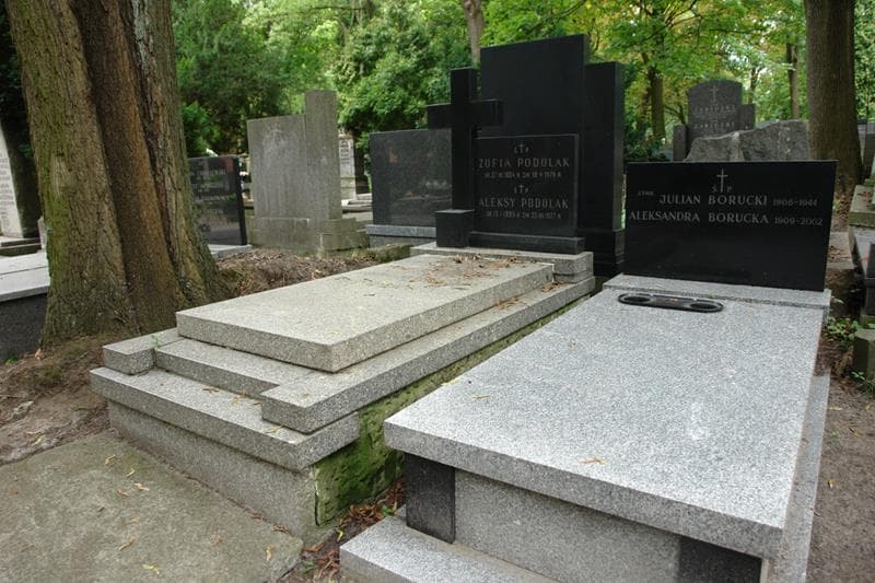 Zdjęcie grobu Aleksy Podolak (1)