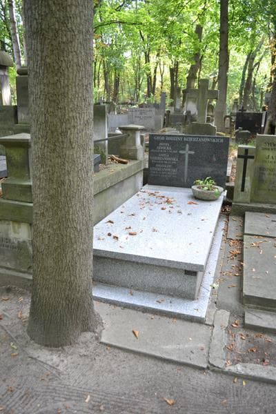 Zdjęcie grobu Bolesław Dzierżanowski (1)