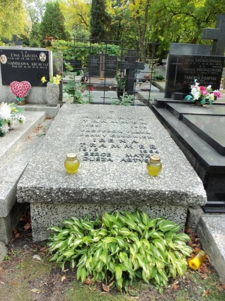 Zdjęcie grobu: Henryk Trammer