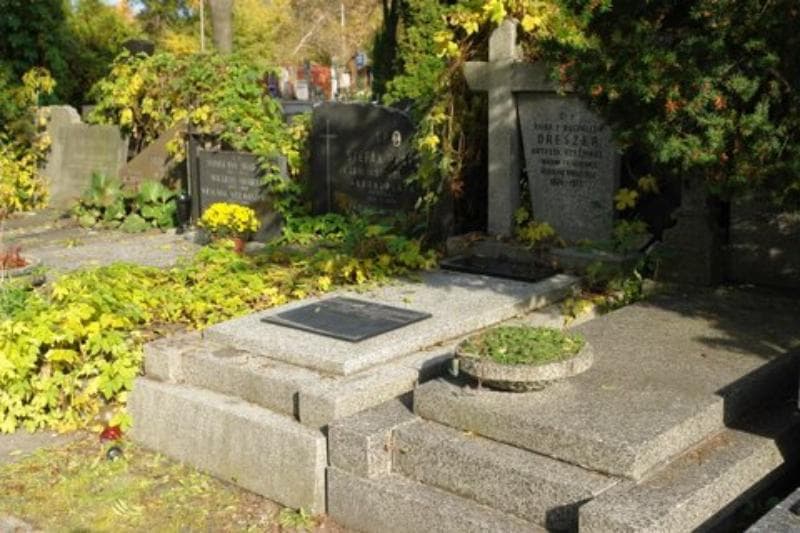 Zdjęcie grobu Anna Dreszer (1)