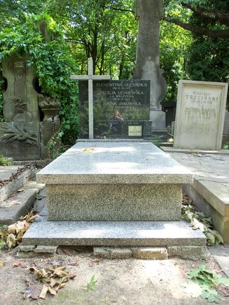 Zdjęcie grobu: Janina Janowska