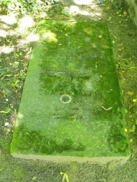 Zdjęcie grobu Adolf Domaniewski (1)