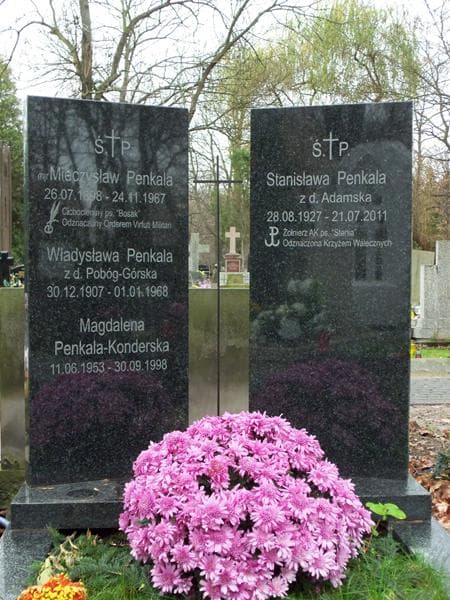 Zdjęcie grobu Mieczysław Penkala (2)