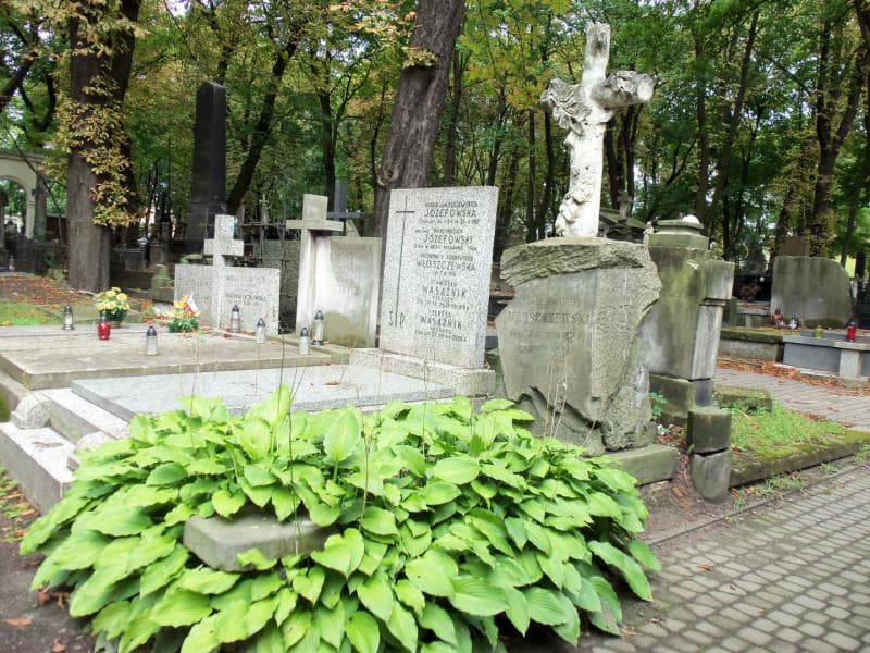 Zdjęcie grobu Konstanty Włoszczewski (1)