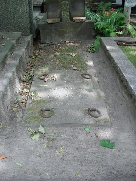 Zdjęcie grobu Lange (1)