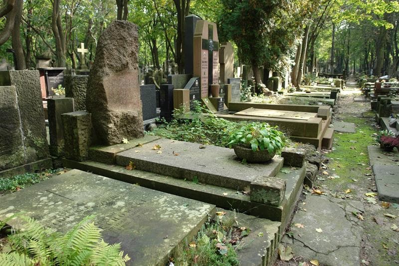 Zdjęcie grobu: Józefa Osińska