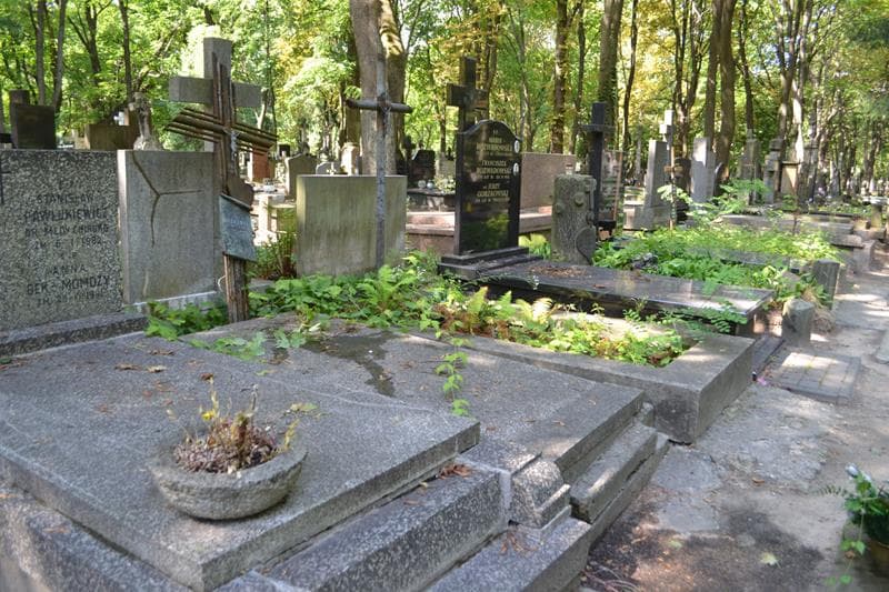 Zdjęcie grobu: ... Maczulewicz