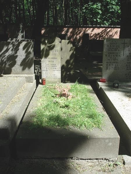 Zdjęcie grobu: Wacław Jasiński