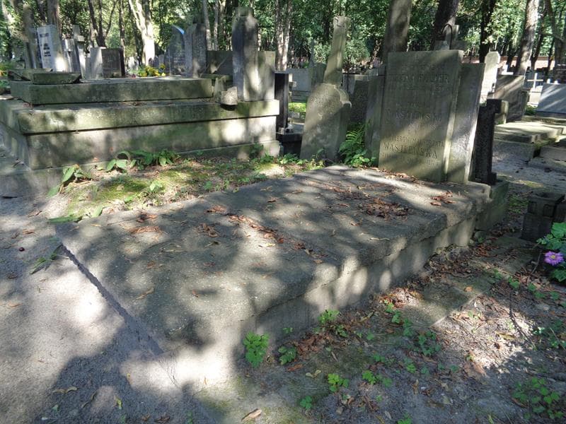 Zdjęcie grobu: Stanisław Wasilewski