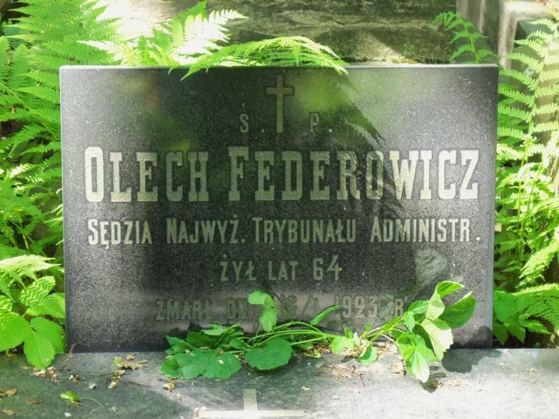 Zdjęcie grobu Adela Jurgielewiczowa (2)