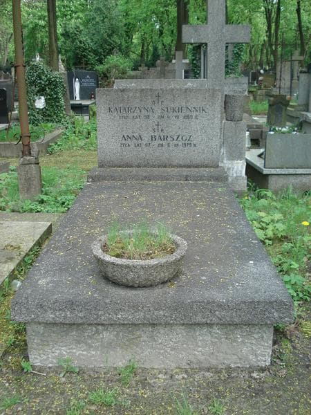 Zdjęcie grobu: Anna Barszcz