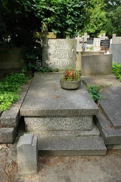 Zdjęcie grobu Stefania Walińska (1)