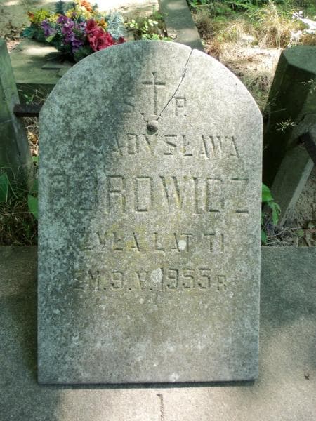 Zdjęcie grobu Władysława Borowicz (2)