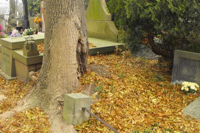 Zdjęcie grobu: Pole Grobowe