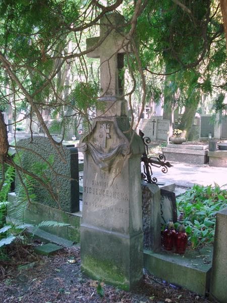 Zdjęcie grobu Stanisława Niesłuchowska (2)