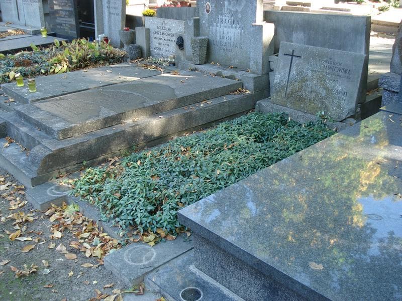 Zdjęcie grobu: Irena Jawłowska