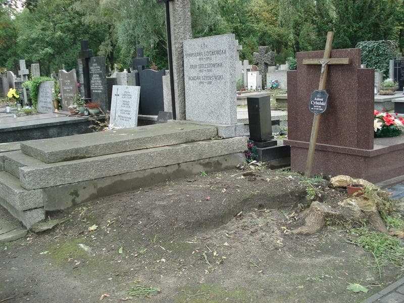 Zdjęcie grobu Antoni Cybulski (1)
