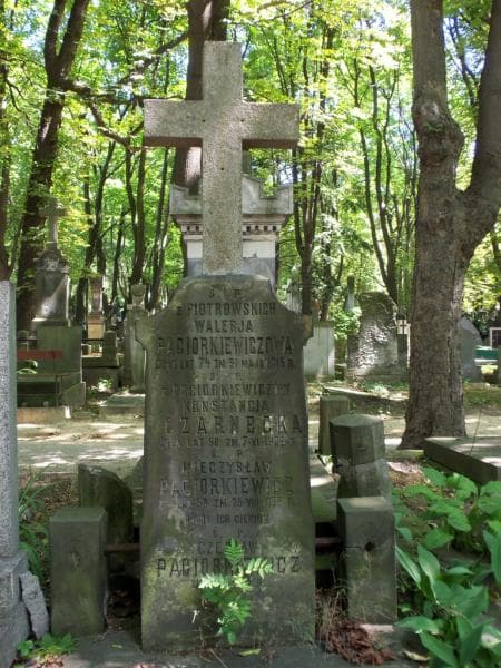 Zdjęcie grobu Konstancja Czarnecka (2)
