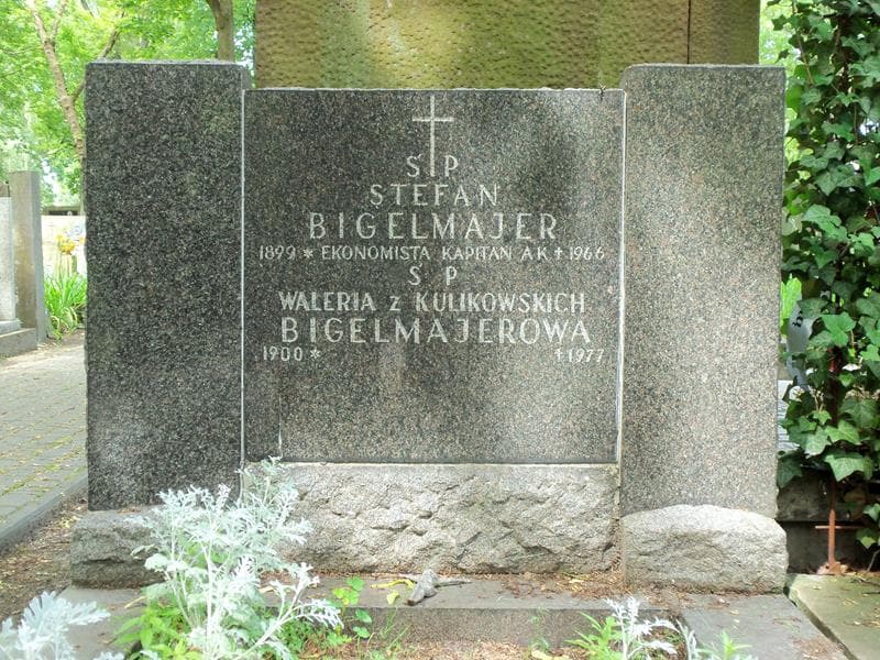 Zdjęcie grobu Stefan Bigelmajer (2)