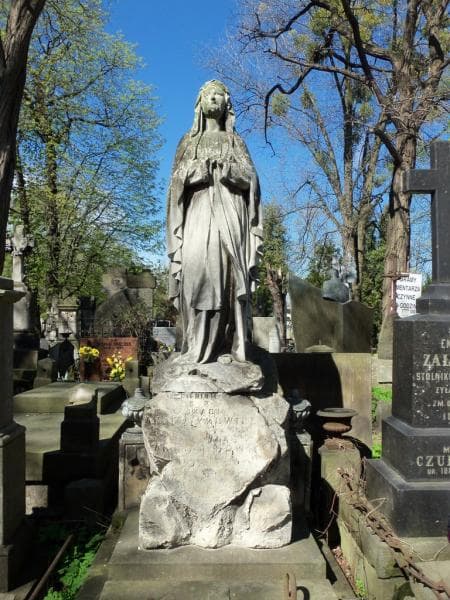 Zdjęcie grobu Emilja Andrzeykowicz (2)
