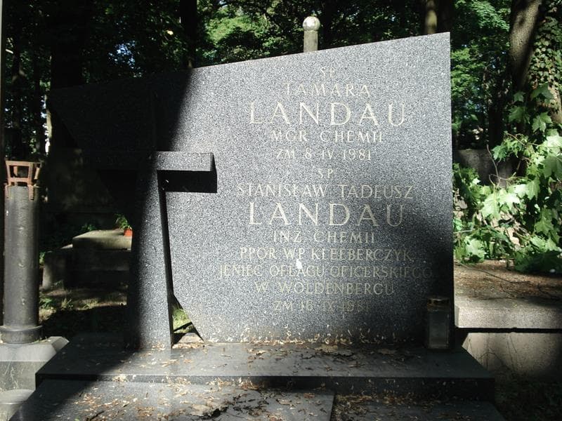 Zdjęcie grobu Tamara Landau (1)