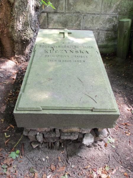 Zdjęcie grobu Rozalja Kuczyńska (1)