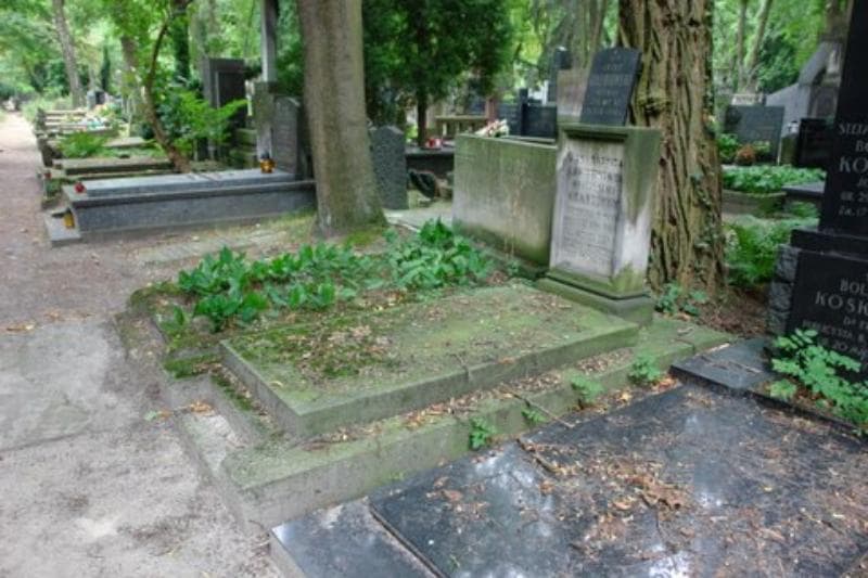 Zdjęcie grobu Józef Gołębiowski (1)