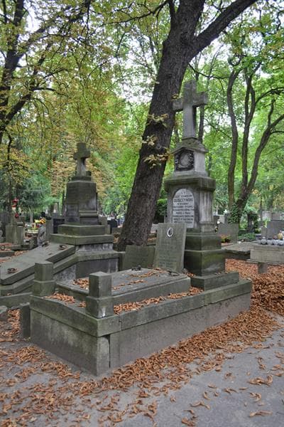 Zdjęcie grobu: Eugnejusz Arciszewski