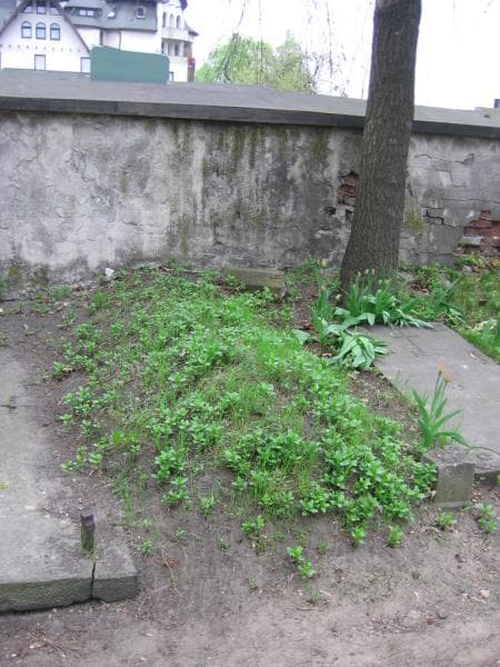 Zdjęcie grobu Pole Grobowe/anonim (1)
