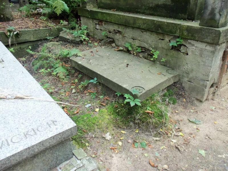 Zdjęcie grobu Maryanna Chałubińska (1)