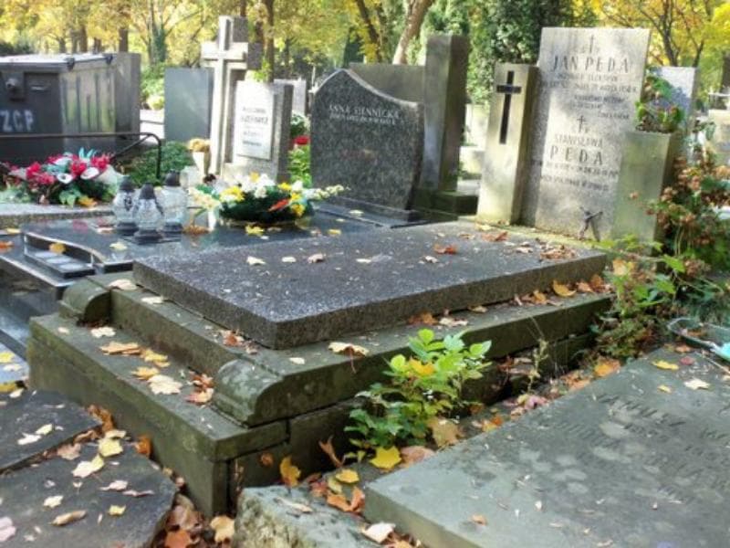 Zdjęcie grobu Stanisława Peda (1)