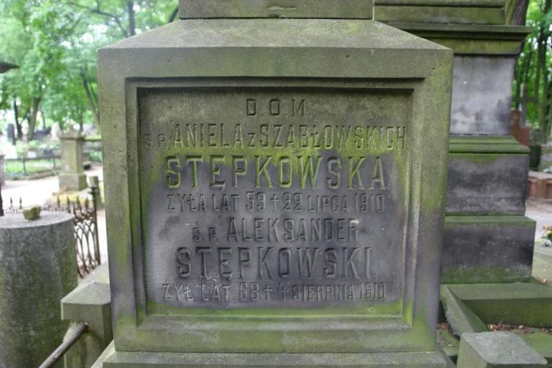 Zdjęcie grobu Aleksander Stępkowski (2)