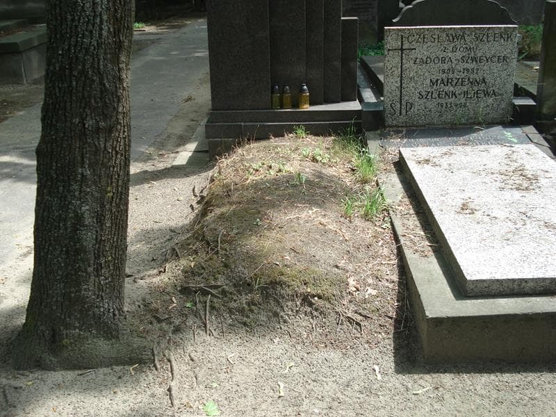 Zdjęcie grobu: Pole Grobowe