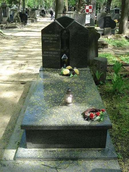 Zdjęcie grobu: Jan Gomoński