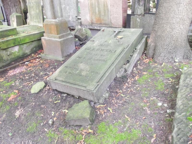 Zdjęcie grobu: Józef Orłowski