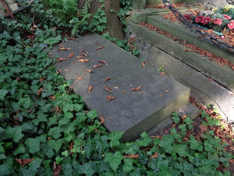 Zdjęcie grobu Marja Jadwiga Hutten Czapska (1)