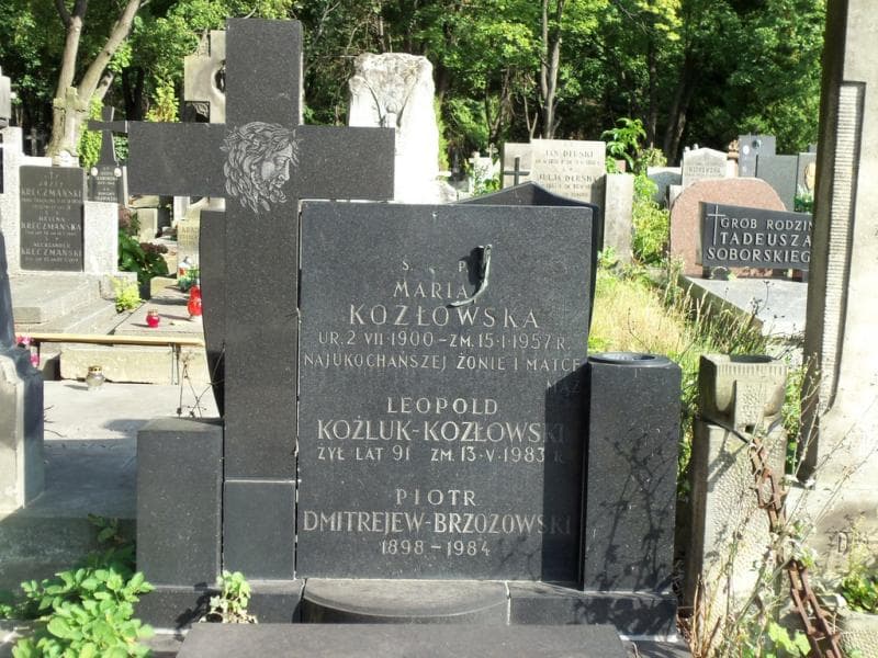 Zdjęcie grobu Piotr Dmitrejew-Brzozowski (2)