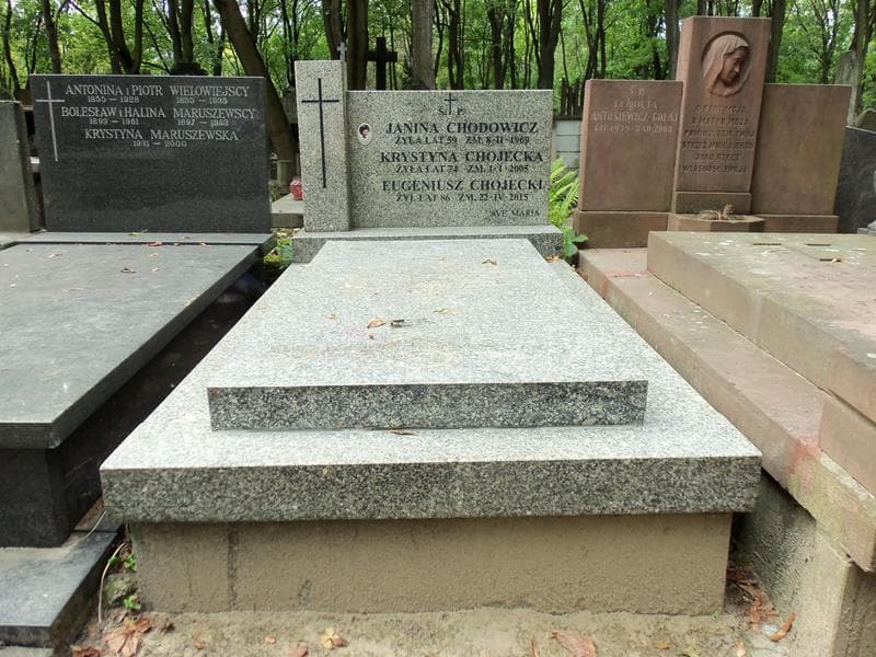 Zdjęcie grobu: Janina Chodowicz