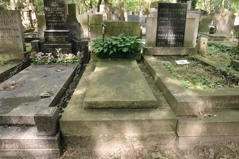 Zdjęcie grobu Krystyna Iłowiecka - Hoffmann (1)