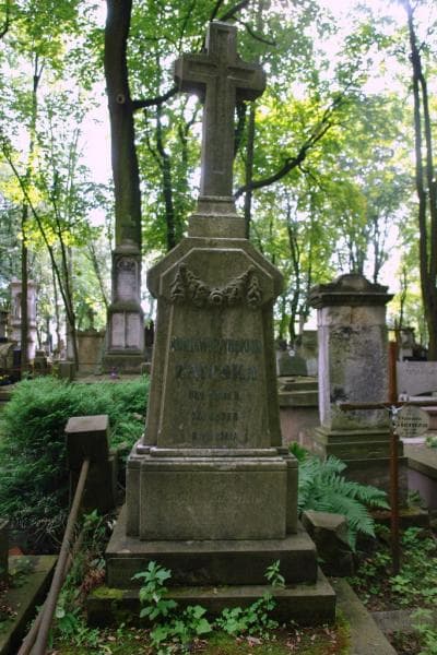 Zdjęcie grobu Bronisława Hein (2)