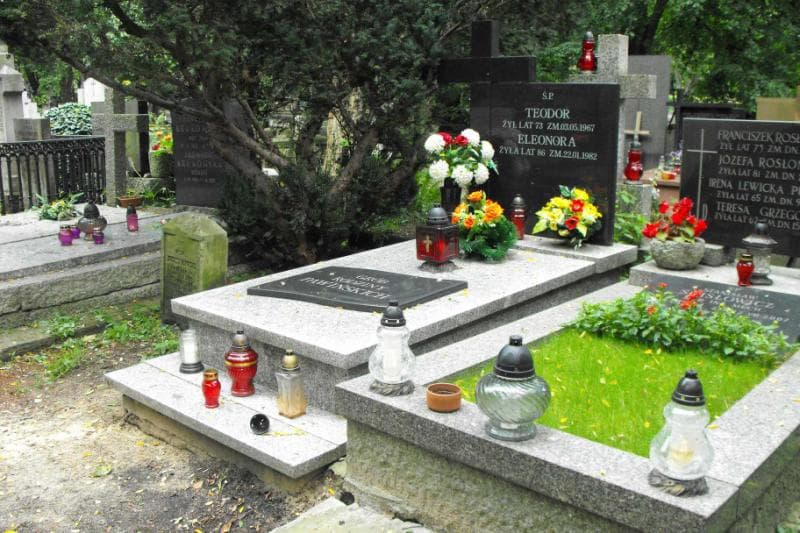 Zdjęcie grobu Teodor Pawiński (1)