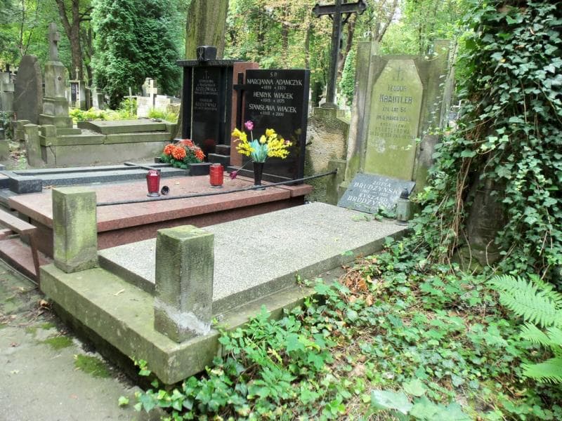 Zdjęcie grobu Henryk Brudzyński (1)