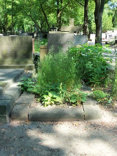 Zdjęcie grobu: Józef Dzienniak