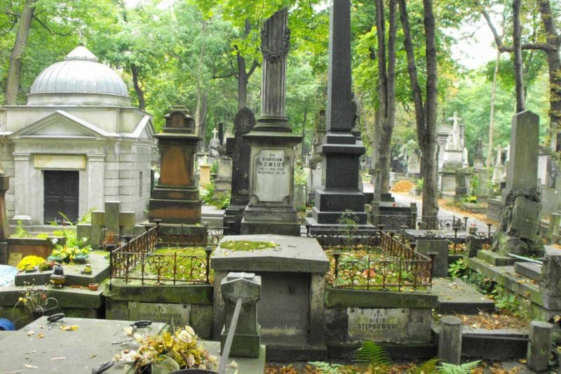 Zdjęcie grobu: Albin Stępkowski