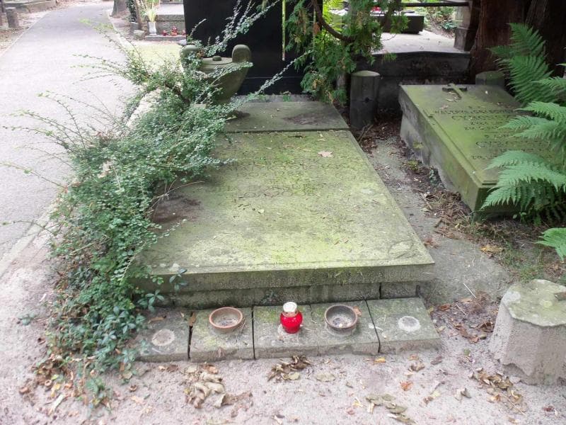 Zdjęcie grobu: Zofia Borsukowa