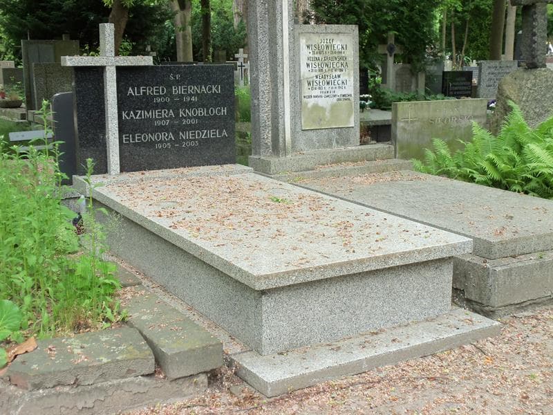 Zdjęcie grobu Kazimiera Knobloch (1)