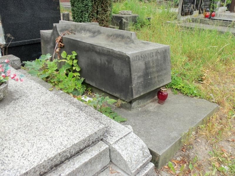 Zdjęcie grobu Aleksander Junowicz (1)