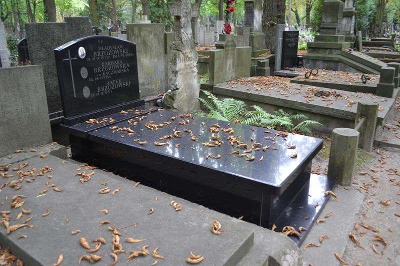 Zdjęcie grobu: Władysław Brzozowski